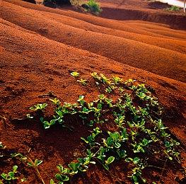 模拟经营《药剂大亨》现已发布1.0版本——你的药剂帝国等待着你！